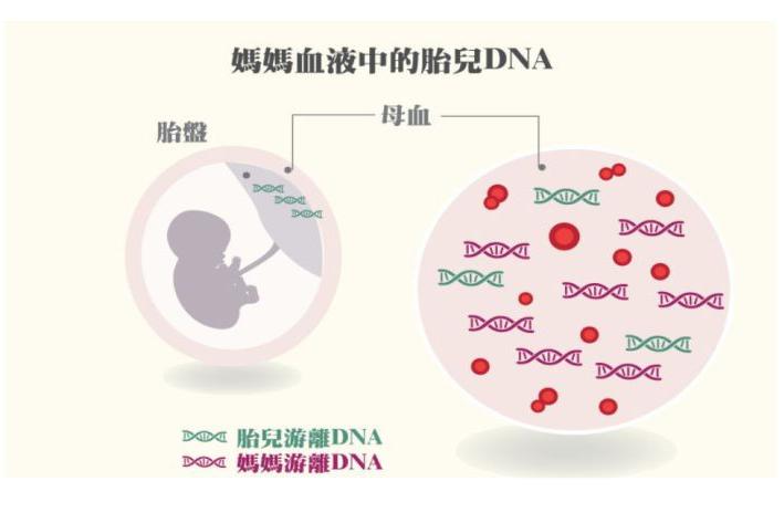 合乐HL8·(中国)首页_公司8410