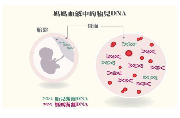 合乐HL8·(中国)首页_产品7842