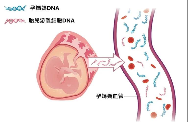 合乐HL8·(中国)首页_项目6278