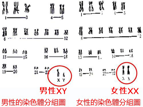 合乐HL8·(中国)首页_产品8222