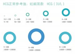 合乐HL8·(中国)首页_公司8497