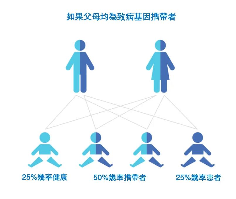 合乐HL8·(中国)首页_公司1706